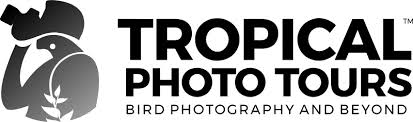 Tropical Photo tour